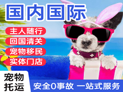 黑河瑷珲空运公司国际宠物托运 【国